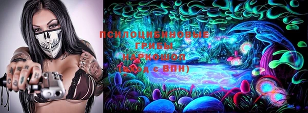 гидропоника Абаза