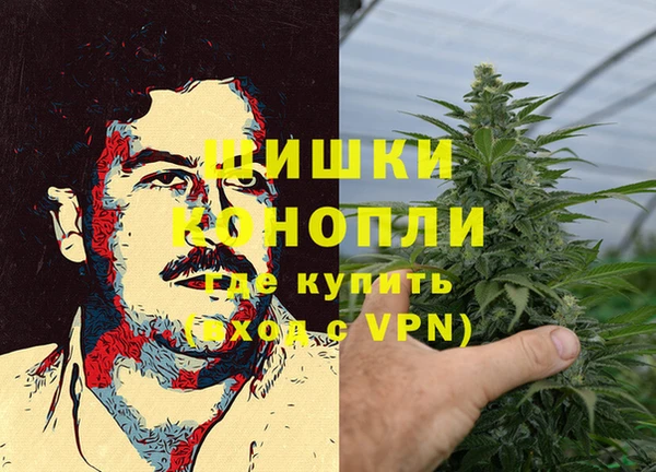 гидропоника Абаза