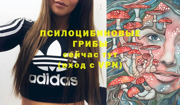 соль ск Абдулино