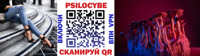Галлюциногенные грибы Psilocybe  Аткарск 