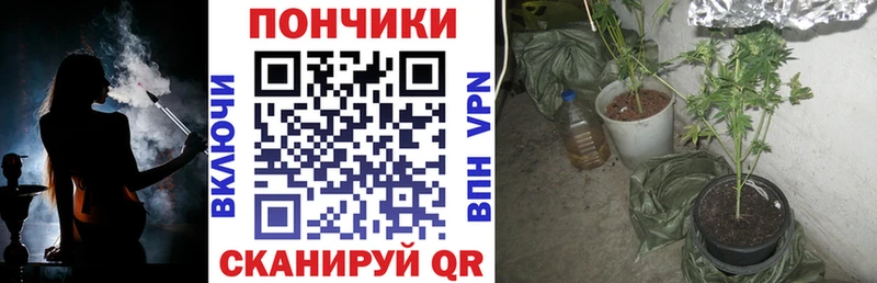 Каннабис гибрид  Аткарск 
